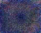 meditationt.JPG (6350 bytes)
