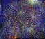 nightt.jpg (7100 bytes)