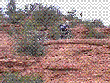 brn1.gif (256955 bytes)