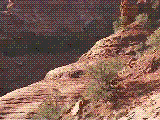 clif.gif (277932 bytes)