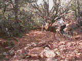 cstvlog.gif (202359 bytes)