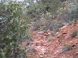 dang3.gif (193758 bytes)