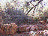 ddave.gif (189633 bytes)