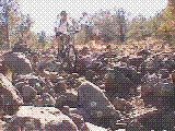 ddavewa.gif (332360 bytes)