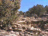 ddavewa2.gif (206353 bytes)