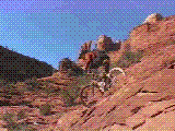 ddslomo.gif (245236 bytes)