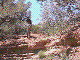 jmp.gif (108994 bytes)