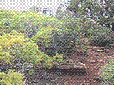 matster.gif (247881 bytes)