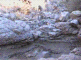 sim2.gif (362874 bytes)