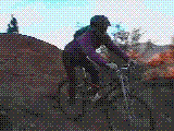 sim5.gif (277773 bytes)