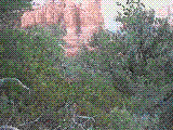 sim7.gif (344325 bytes)