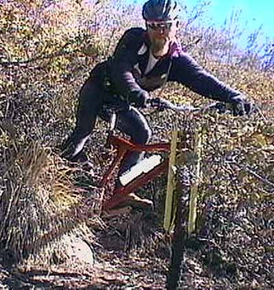 sim1.jpg (55206 bytes)