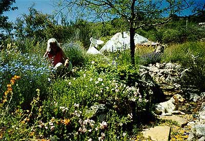 garden.jpg (56018 bytes)