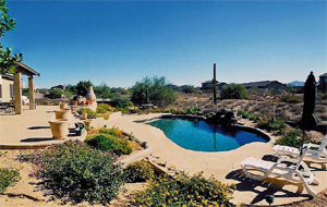 5737hedgehog%20_03.jpg (79423 bytes)