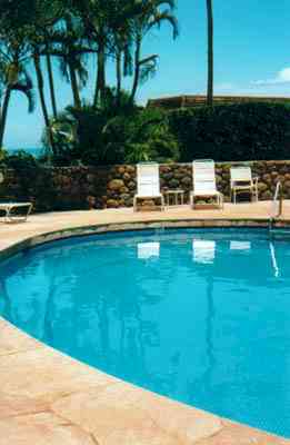 poolnew.jpg (10346 bytes)