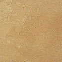 buckskin_sm.jpg (11107 bytes)